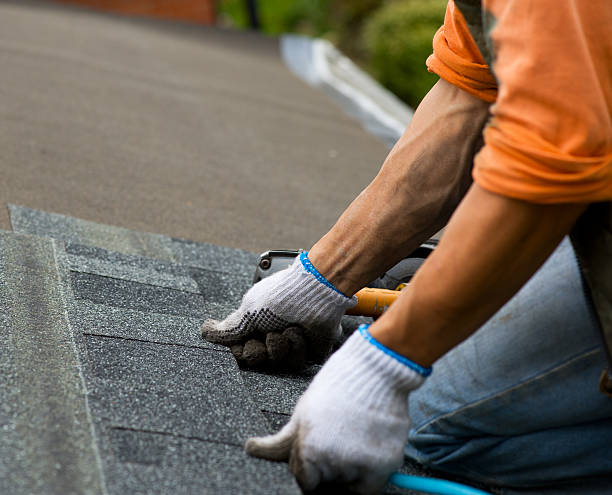 Best Metal Roofing Contractor  in Brooklyn Center, MN