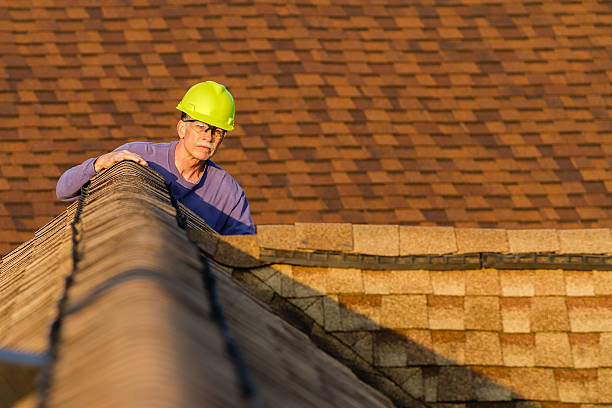 Best Roof Repair Services  in Brooklyn Center, MN
